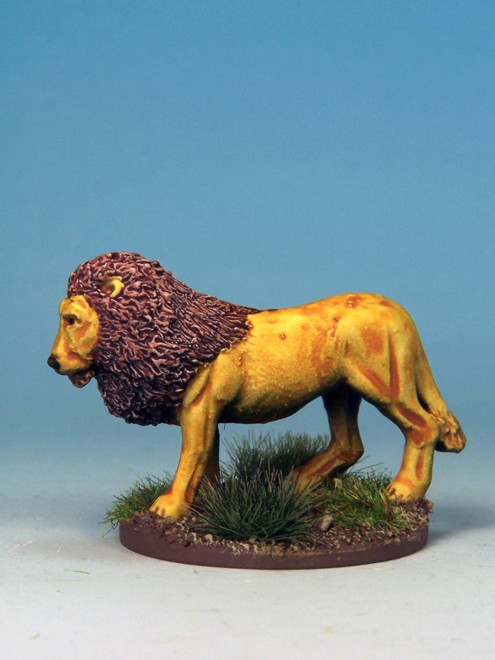 Lion