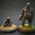Photo of Gorillas (EMP-AA106)