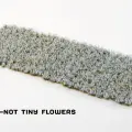 Photo of Forget-me-not Tiny Flowers (GGFS-FMN)