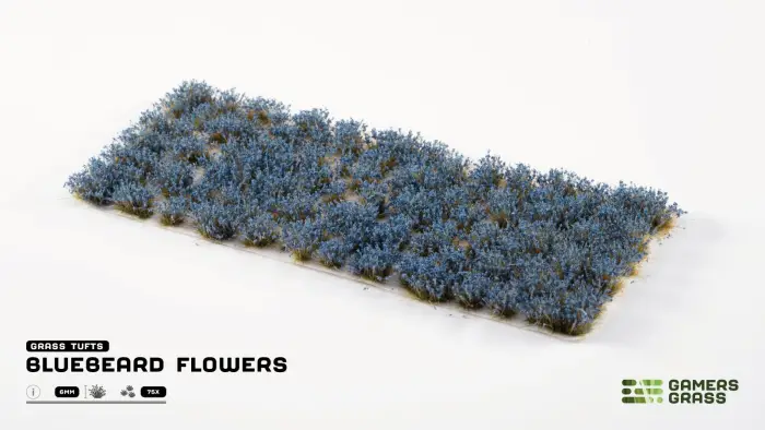Bluebeard Flowers