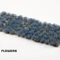 Photo of Bluebeard Flowers (GGFS-BLU)
