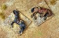 Photo of DEAD MAN'S HAND Dead Horses (DMH652)